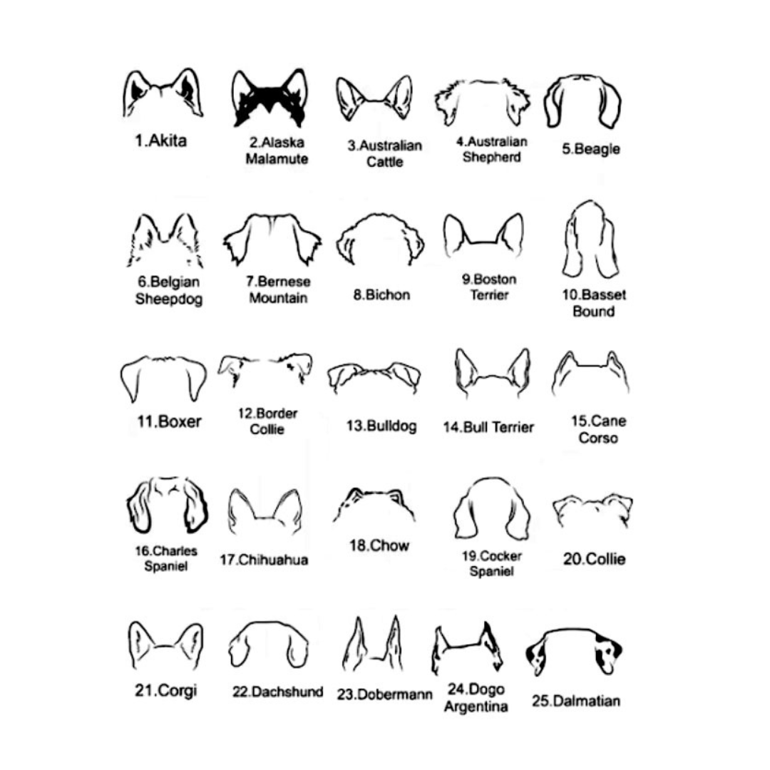 Personalized Dog Ears Bracelet